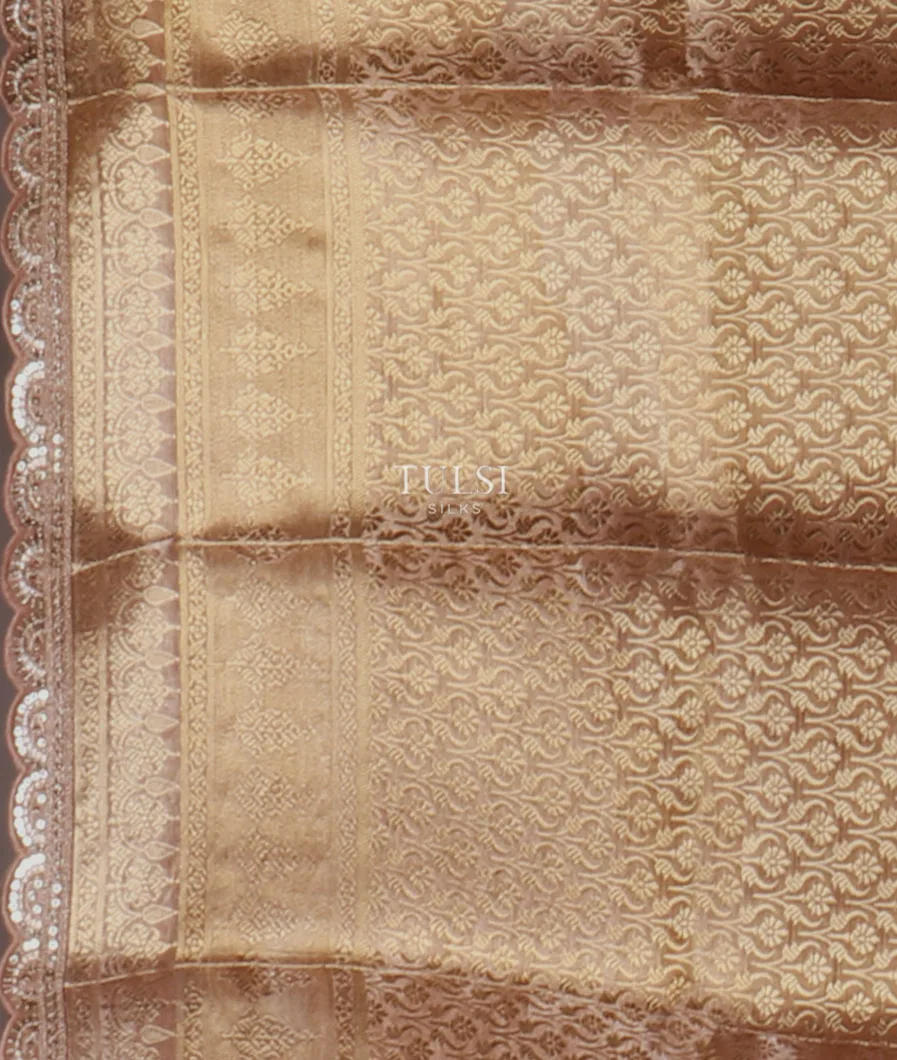 light-brown-kora-tissue-organza-embroidery-saree-t658144-t658144-c