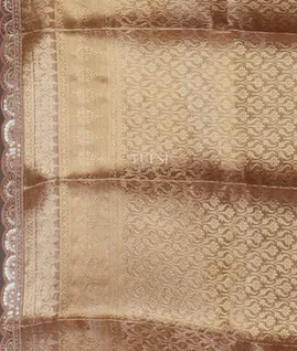 light-brown-kora-tissue-organza-embroidery-saree-t658144-t658144-c