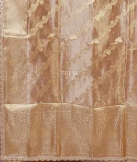 light-brown-kora-tissue-organza-embroidery-saree-t658144-t658144-d