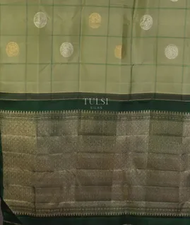 sage-green-kanjivaram-silk-saree-t661912-t661912-d