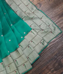 greenish-blue-kora-organza-embroidery-saree-t645565-t645565-b