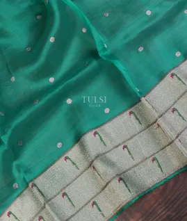 greenish-blue-kora-organza-embroidery-saree-t645565-t645565-d