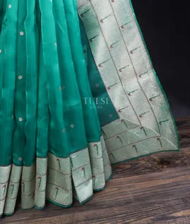 greenish-blue-kora-organza-embroidery-saree-t645565-t645565-e