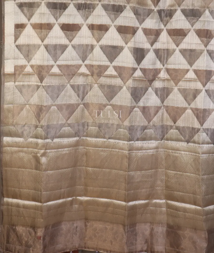 multicolour-banaras-tissue-organza-saree-t653801-t653801-d