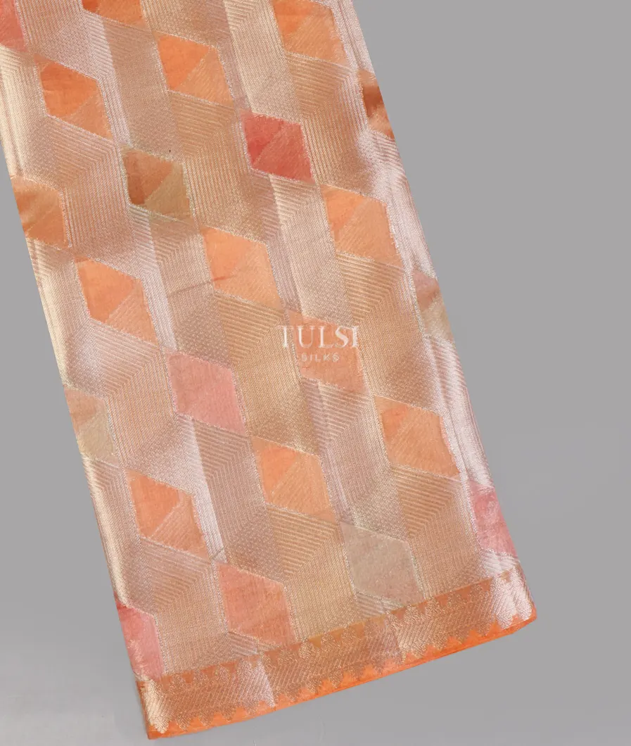 Multicolour Banaras Tissue Organza Saree T653791-image