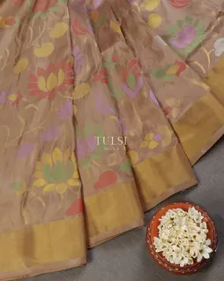 beige-uppada-silk-saree-t646007-t646007-b