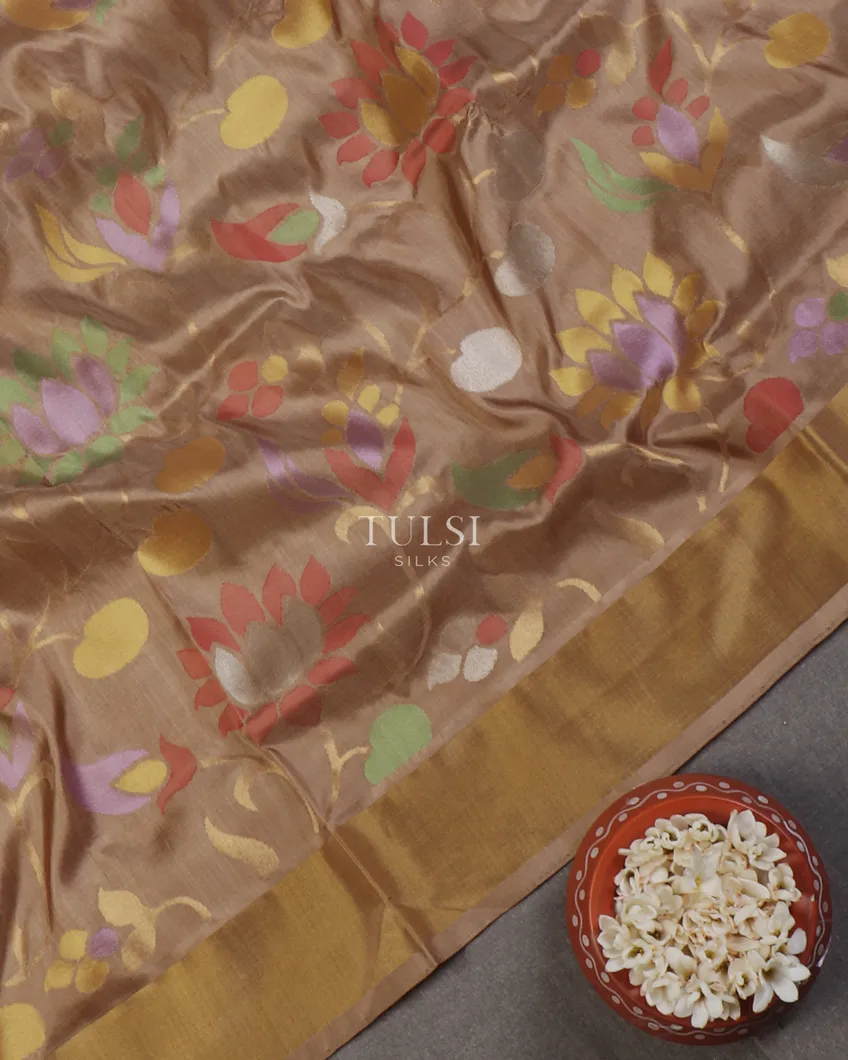 beige-uppada-silk-saree-t646007-t646007-e