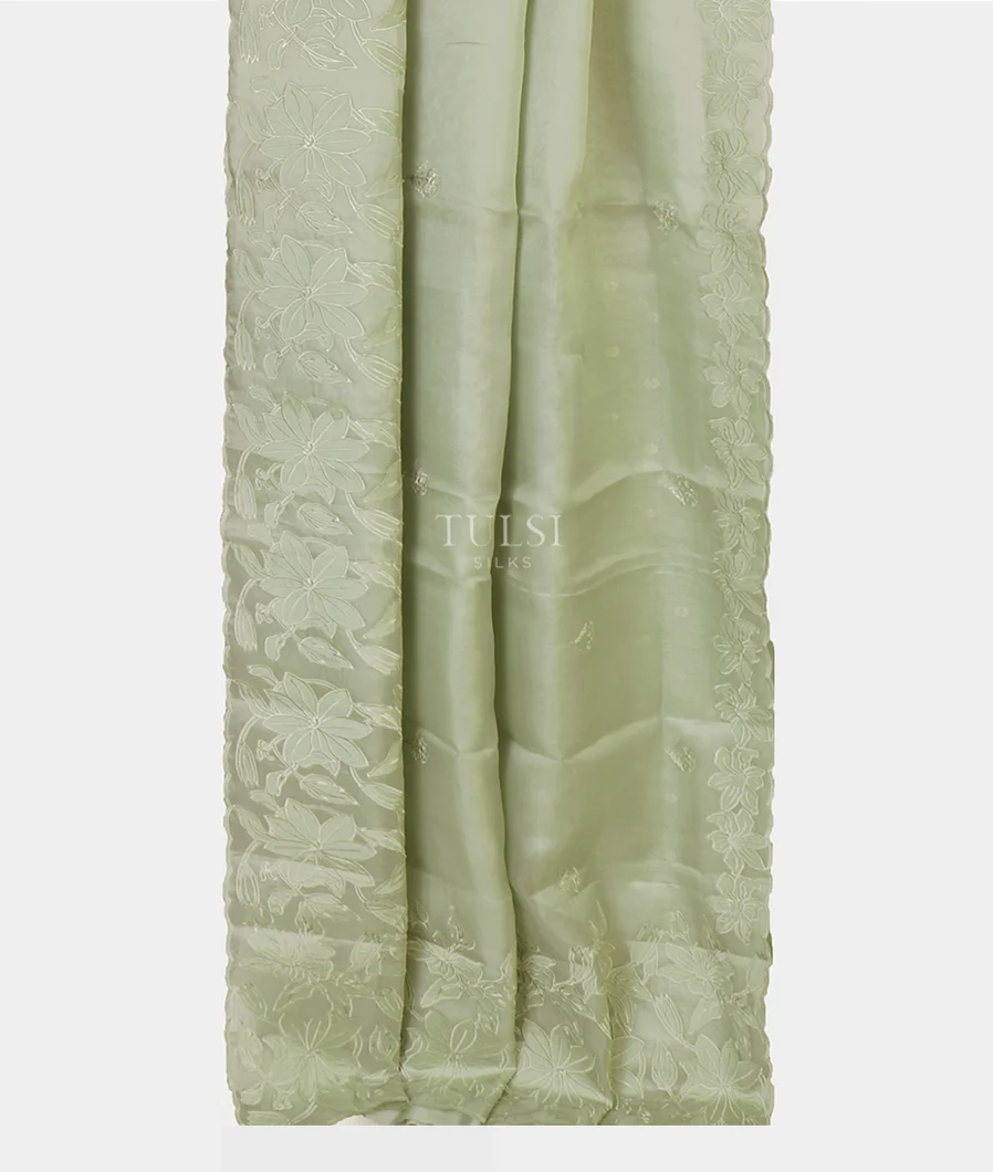 green-kora-organza-embroidery-saree-t659239-t659239-b