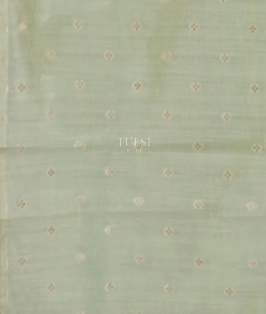 green-kora-organza-embroidery-saree-t659239-t659239-c