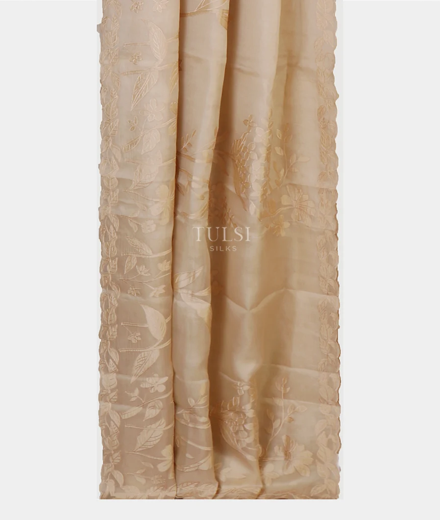beige-kora-organza-embroidery-saree-t659244-t659244-b