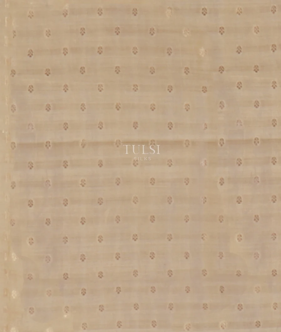 beige-kora-organza-embroidery-saree-t659244-t659244-c