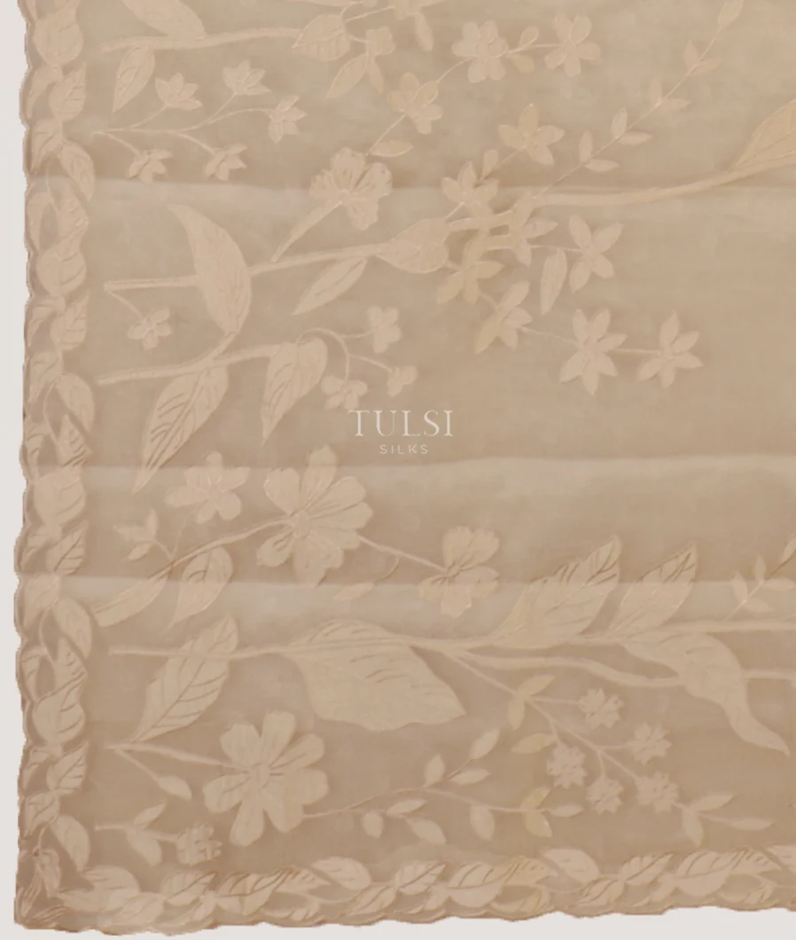 beige-kora-organza-embroidery-saree-t659244-t659244-d