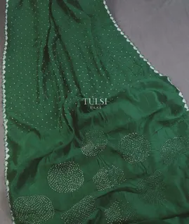 green-bandhani-tussar-saree-t655635-t655635-b