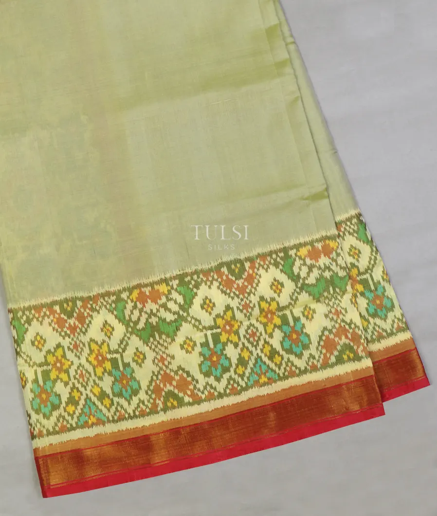 Light Green Patola Silk Saree T616279-image