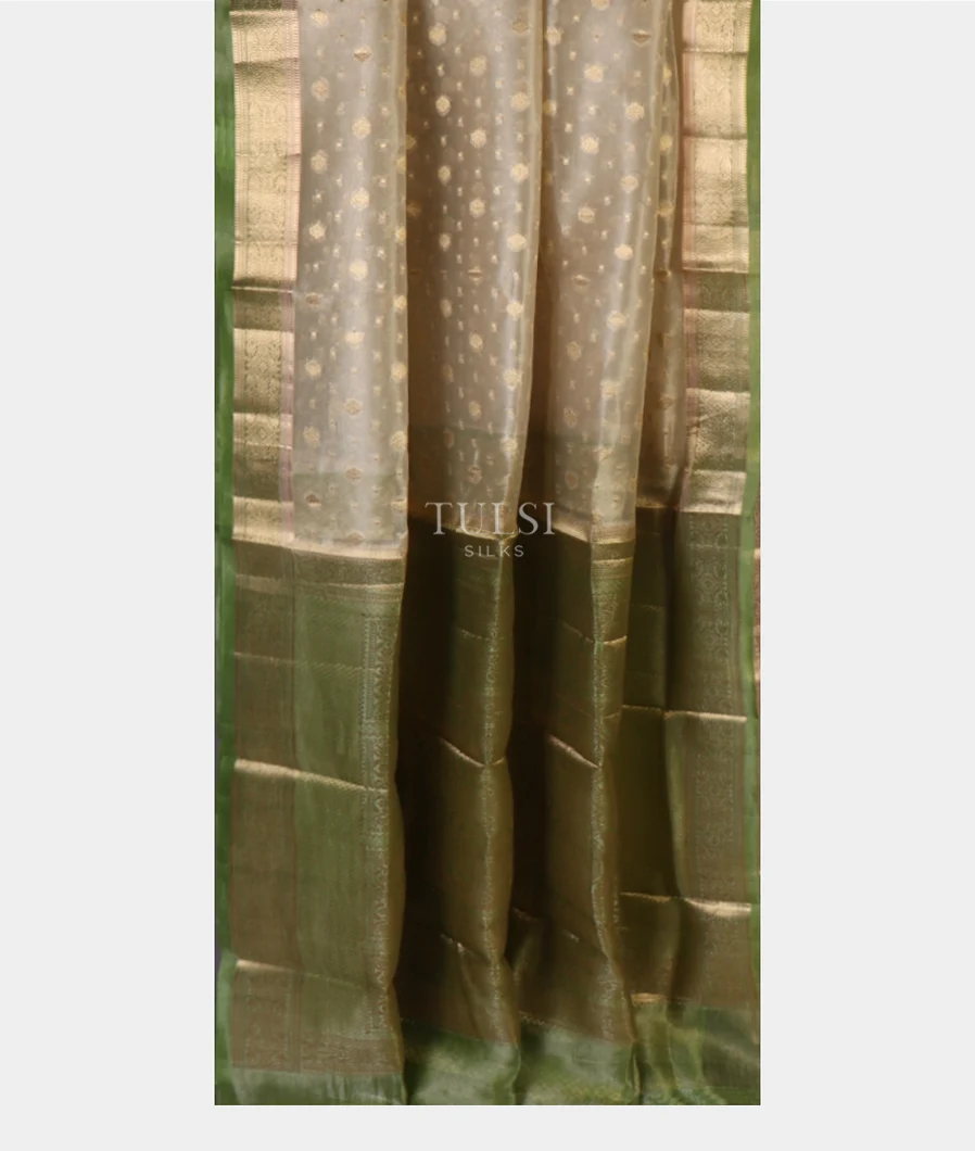 beige-banaras-tissue-organza-saree-t659458-t659458-b