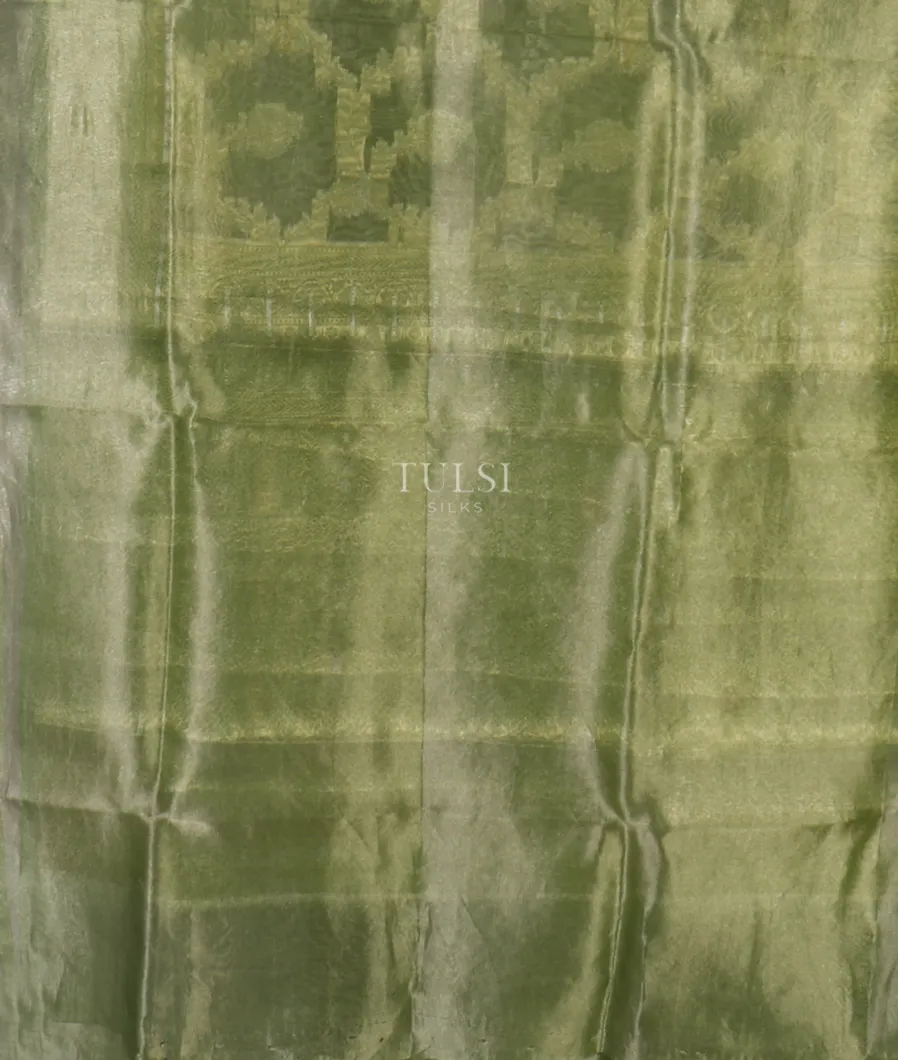 beige-banaras-tissue-organza-saree-t659471-t659471-c