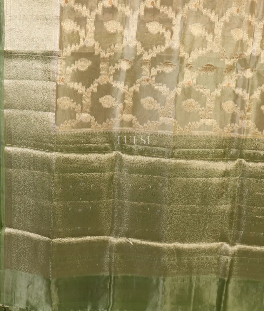 beige-banaras-tissue-organza-saree-t659471-t659471-d