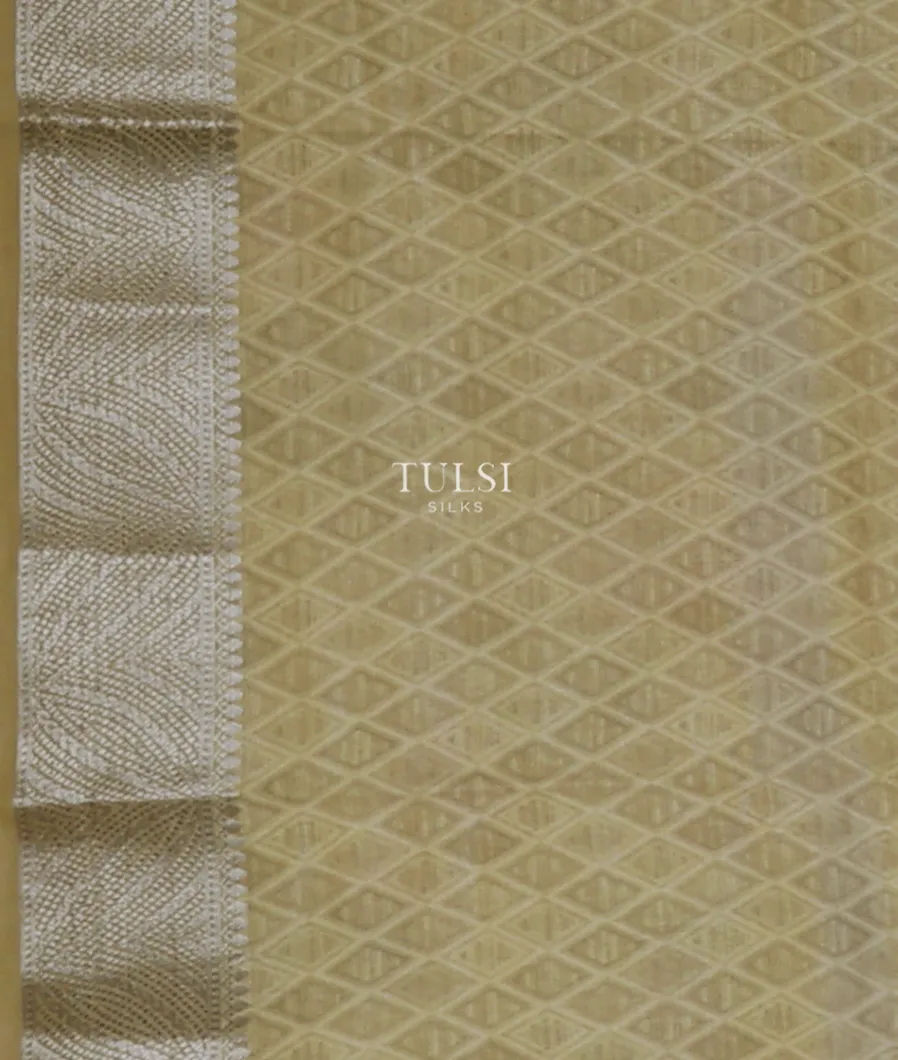 greenish-beige-chaniya-silk-saree-t654640-t654640-c