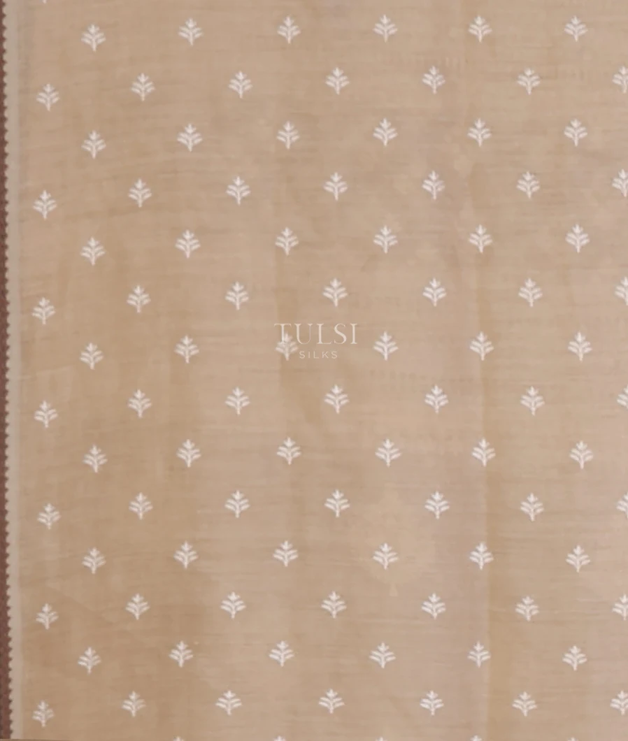 beige-tussar-embroidery-saree-t664280-t664280-c