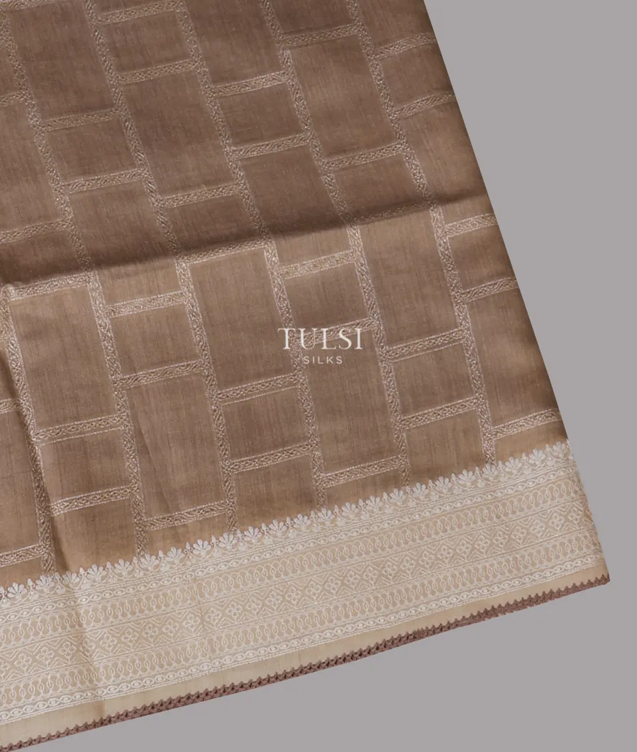 Light Brown Tussar Embroidery Saree T664280-image