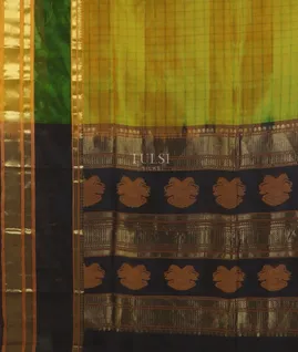 yellowish-green-silk-cotton-saree-t664475-t664475-d