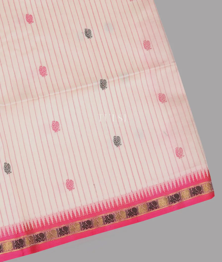 Off - White Silk Cotton Saree T664449-image