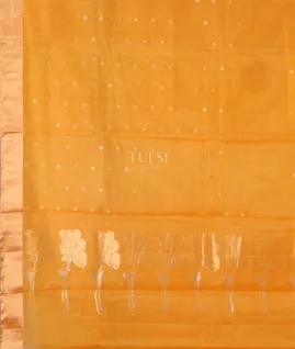 yellow-silk-cotton-saree-t661036-t661036-d