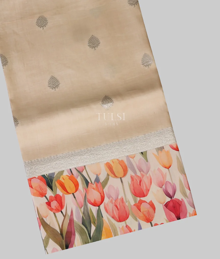 Beige Banaras Kathan Silk Saree T638737-image