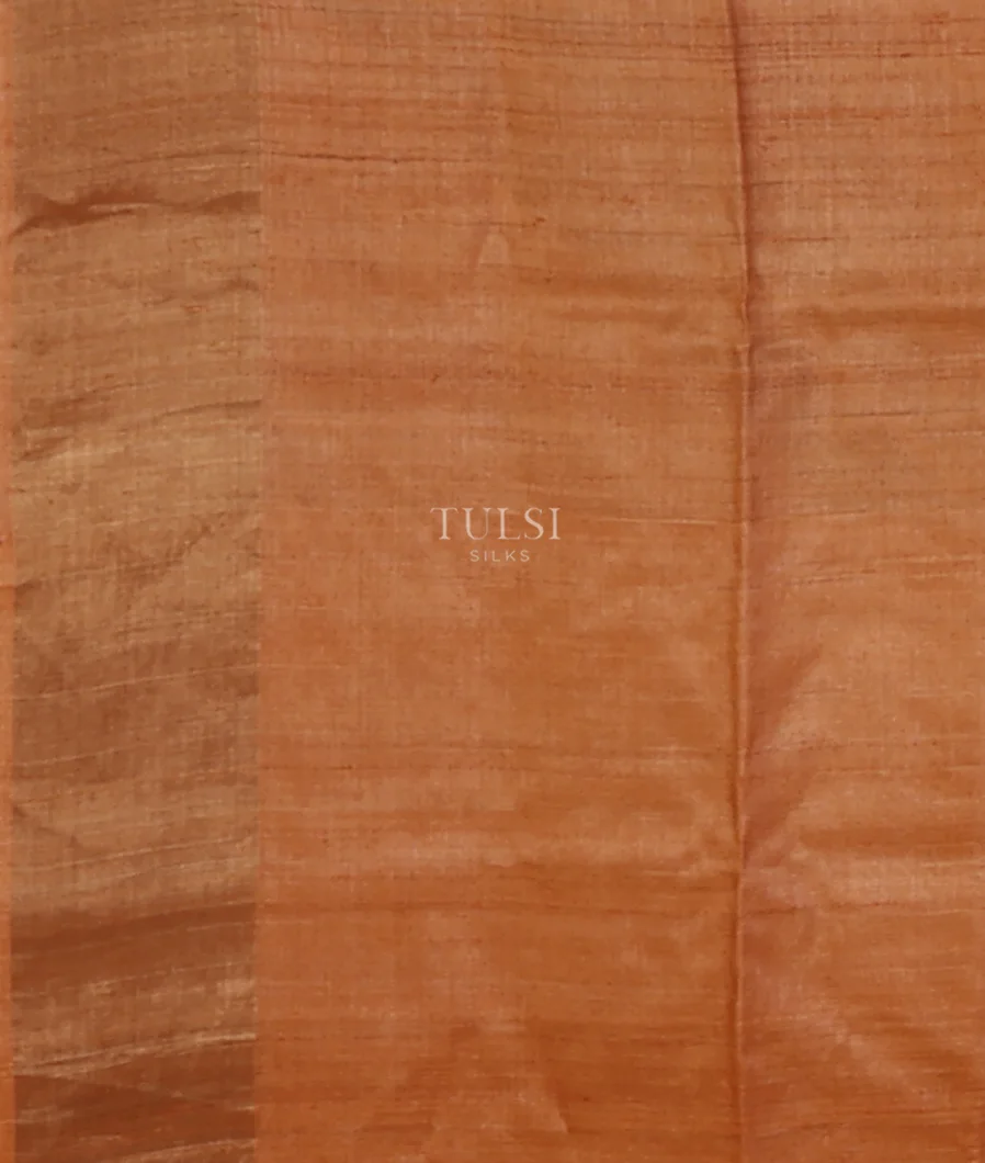 multicolour-tussar-printed-saree-t666314-t666314-c