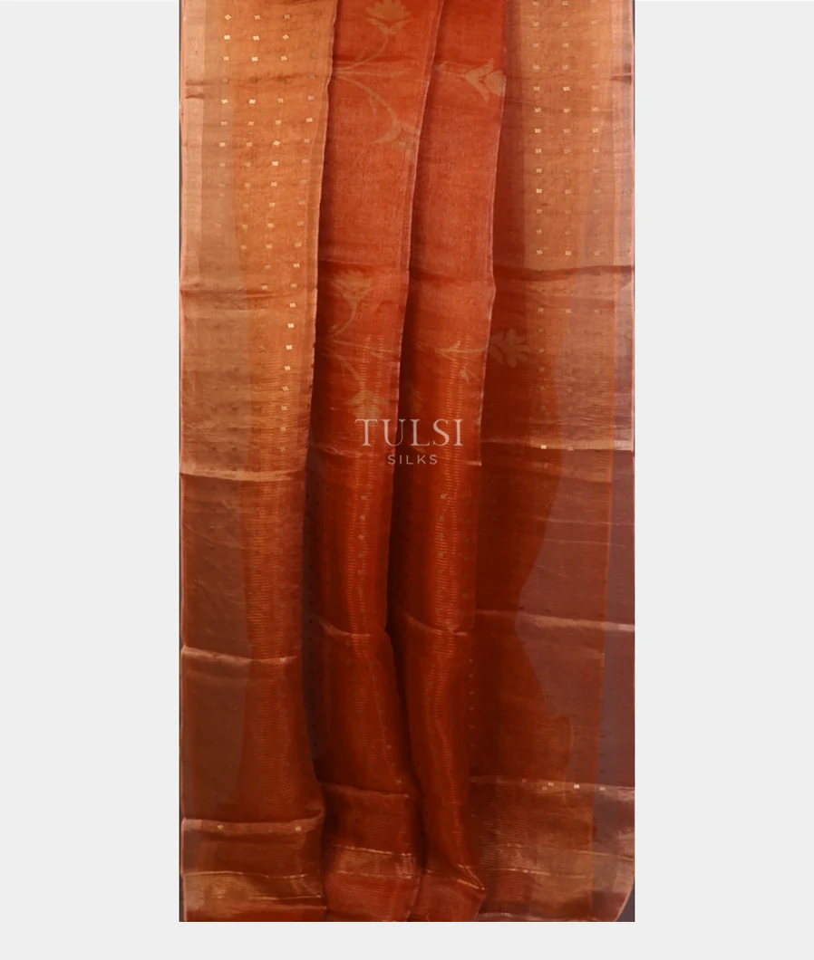 rust-tissue-organza-printed-saree-t666815-t666815-b