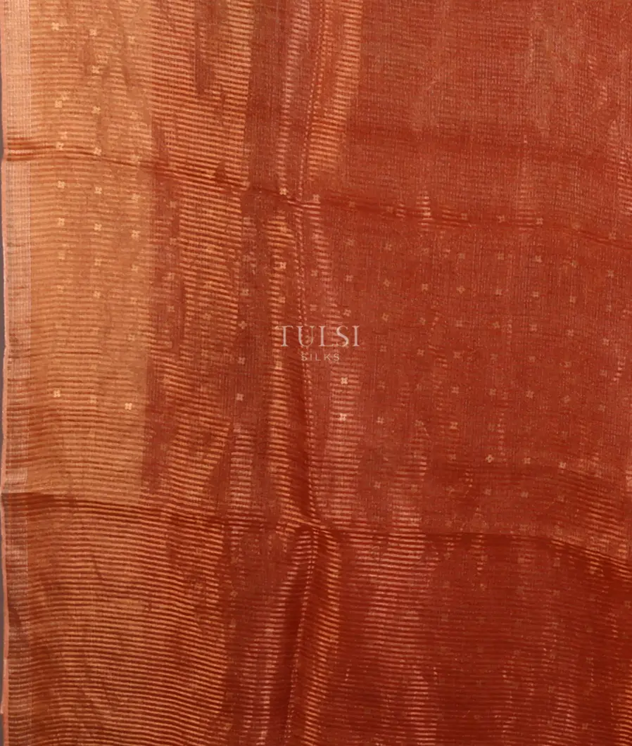 rust-tissue-organza-printed-saree-t666815-t666815-c