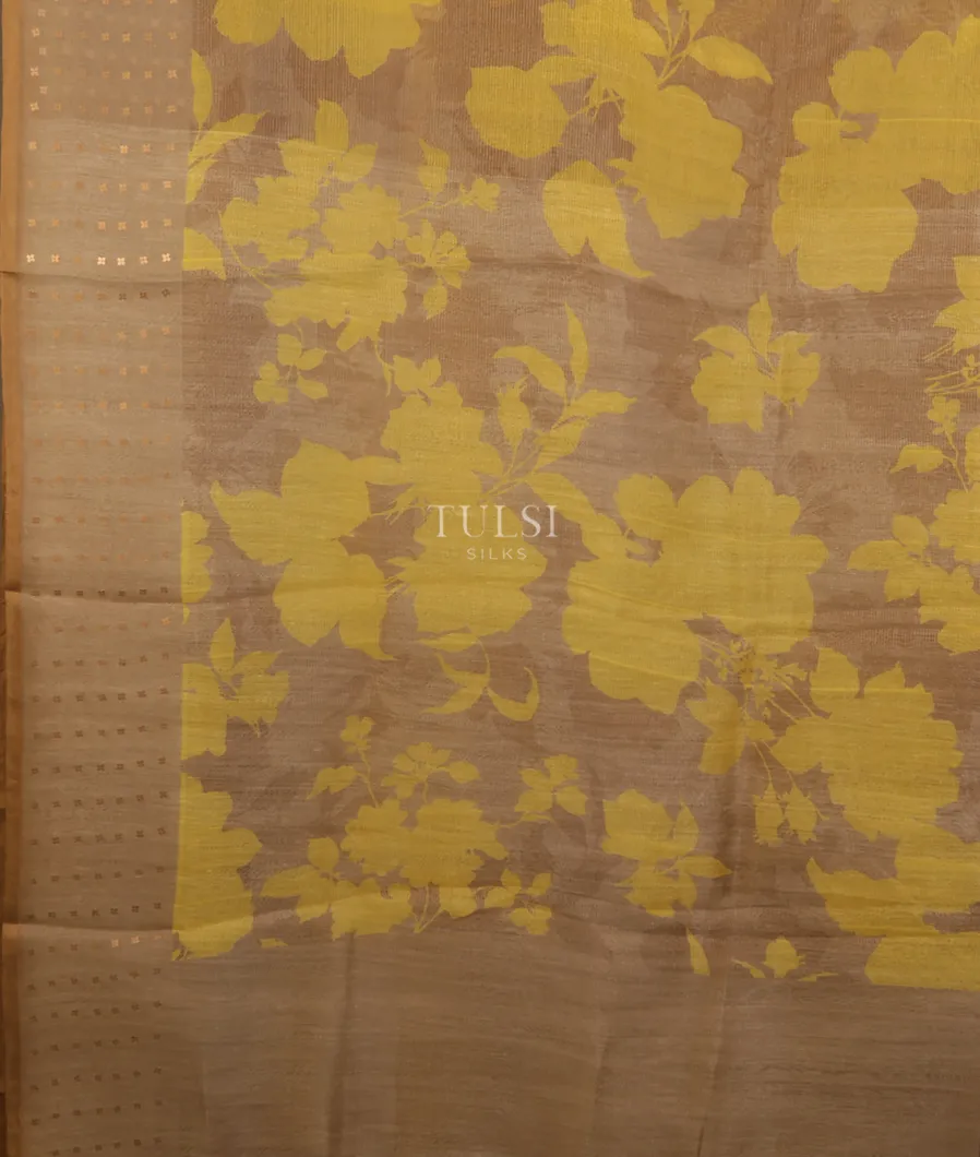 beige-tissue-organza-printed-saree-t666750-t666750-d