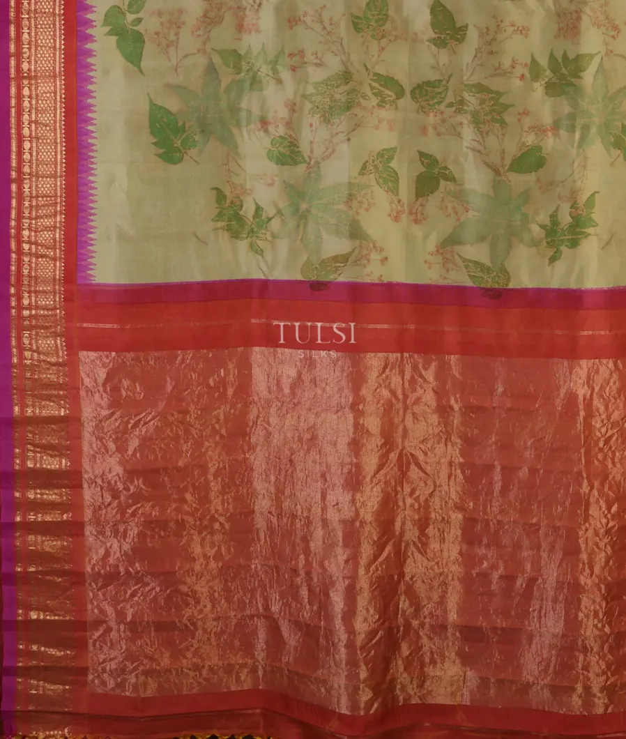 greenish-beige-gadwal-silk-saree-t662813-t662813-d