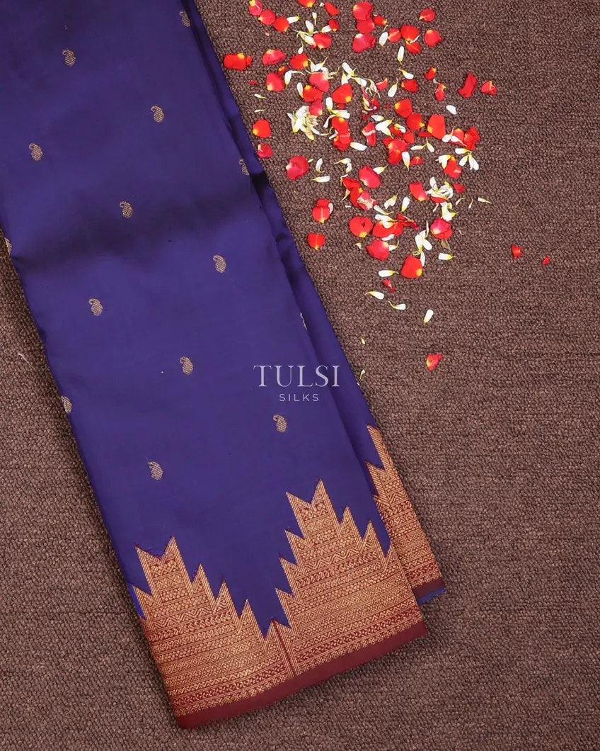 Blue Kanjivaram Silk Saree T602281-image