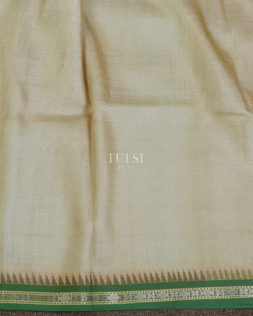 light-green-vidarbha-tussar-saree-t668502-t668502-c