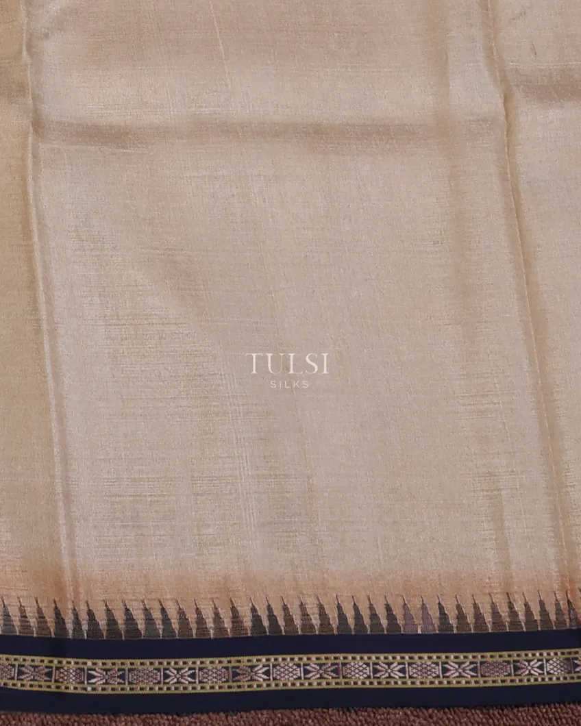 grey-vidarbha-tussar-saree-t668498-t668498-c