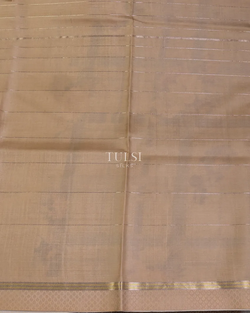 dark-beige-tussar-printed-saree-t668470-t668470-c