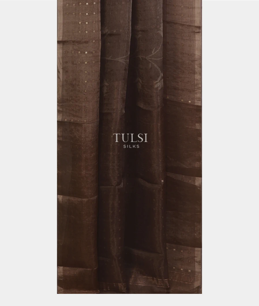 brown-tissue-organza-printed-saree-t666806-t666806-b