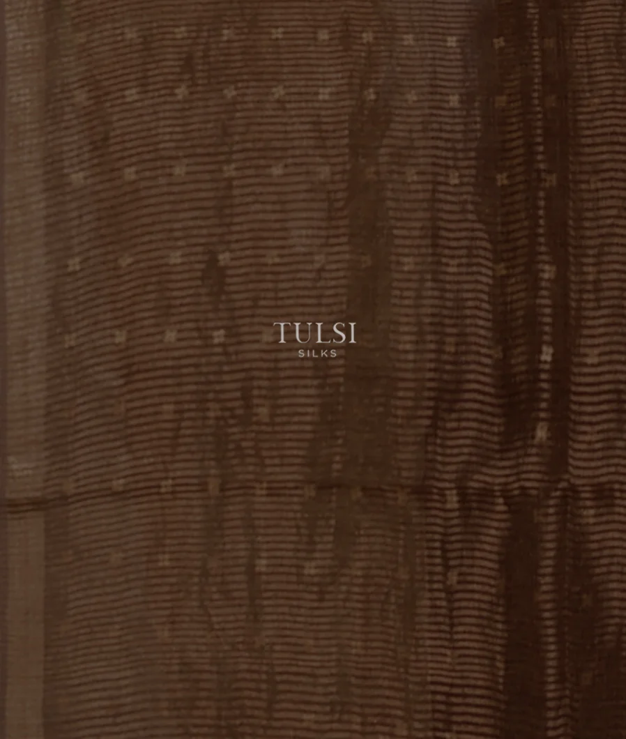 brown-tissue-organza-printed-saree-t666806-t666806-c