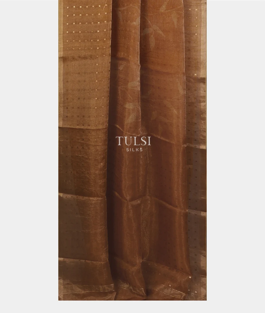 golden-brown-tissue-organza-printed-saree-t666812-t666812-b