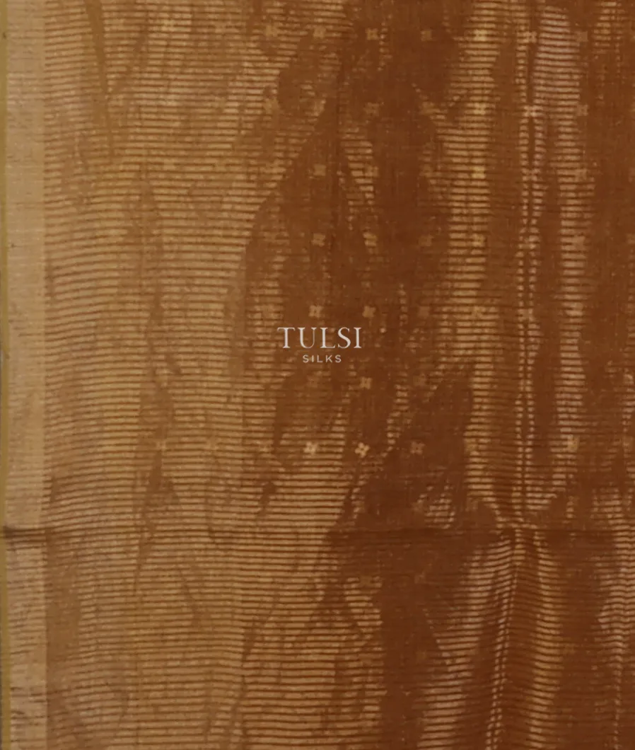 golden-brown-tissue-organza-printed-saree-t666812-t666812-c