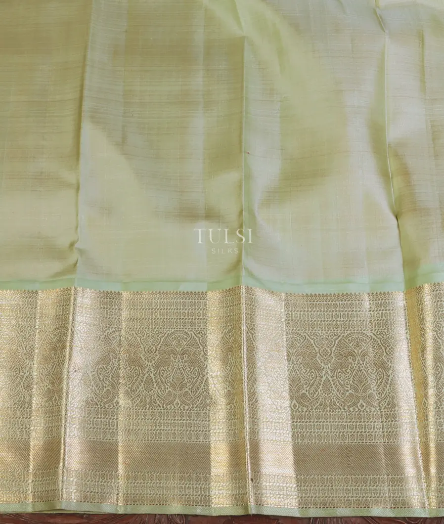 orange-kanjivaram-silk-pavadai-t669665-t669665-b