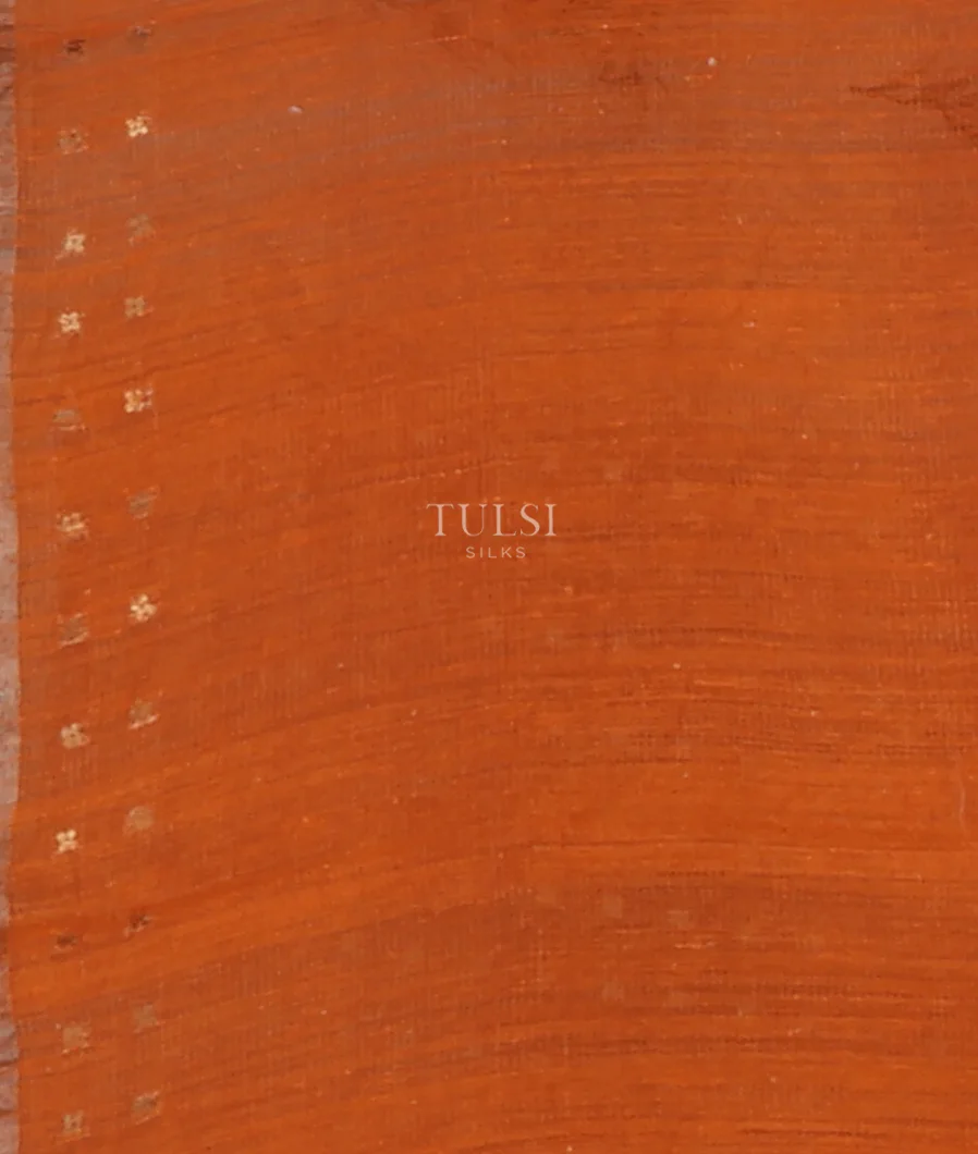 off-white-tissue-organza-printed-saree-t658120-t658120-c