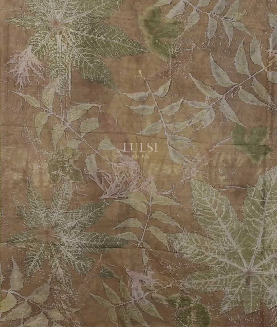 beige-pure-silk-saree-t669307-t669307-d