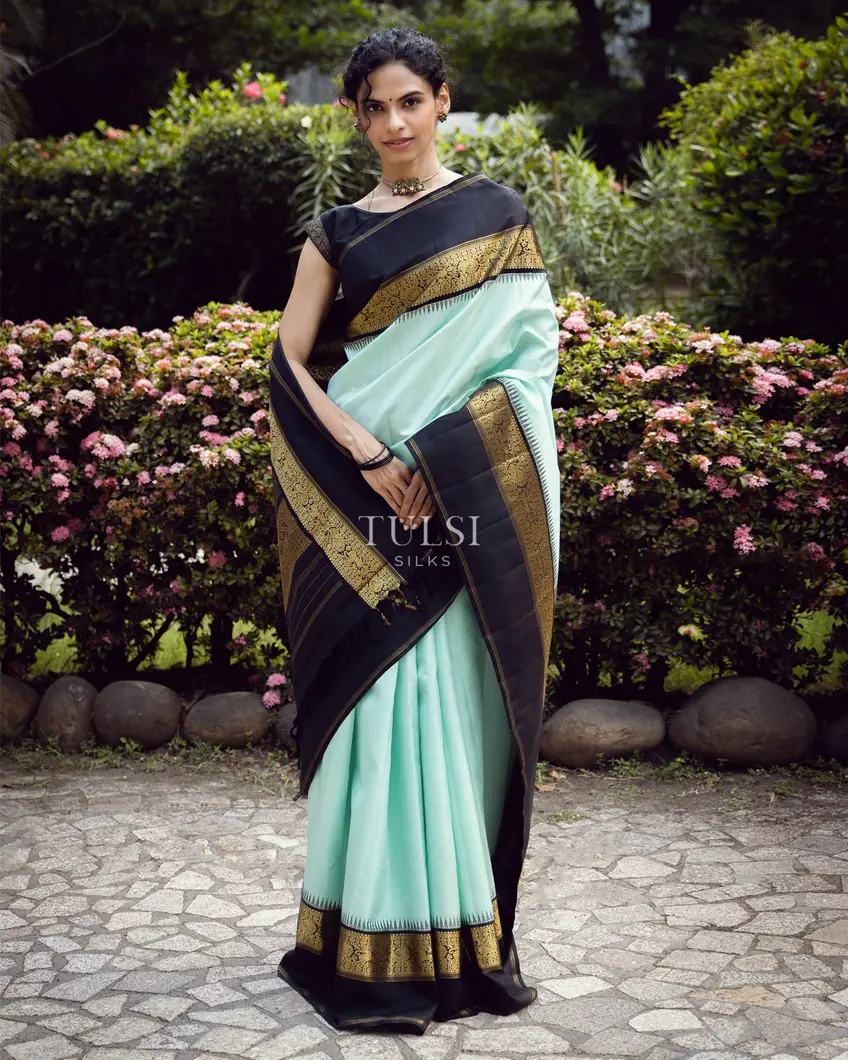 Light Blue Kanjivaram Silk Saree T660464-image