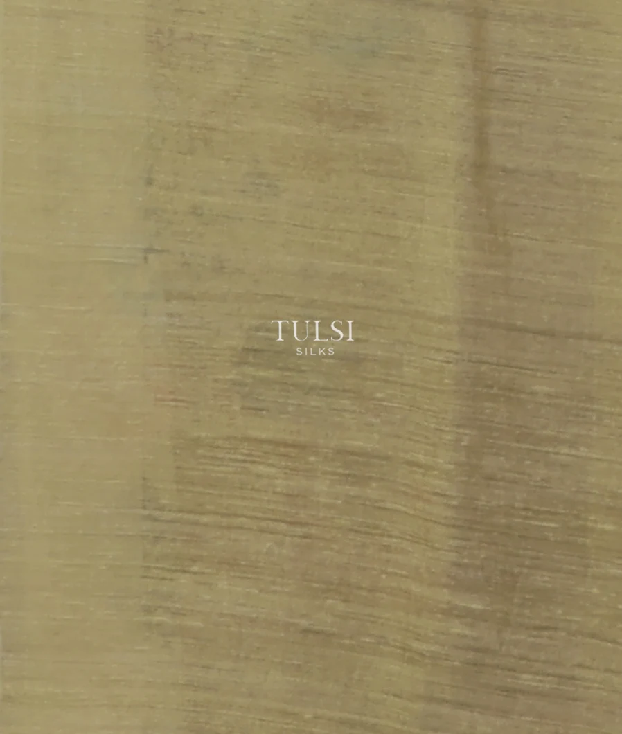 greenish-beige-tussar-printed-saree-t530400-t530400-c