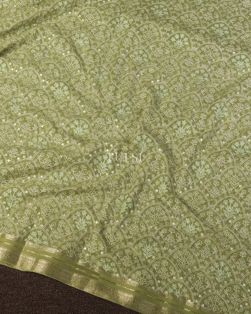 green-chiffon-embroidery-silk-saree-t669960-t669960-d