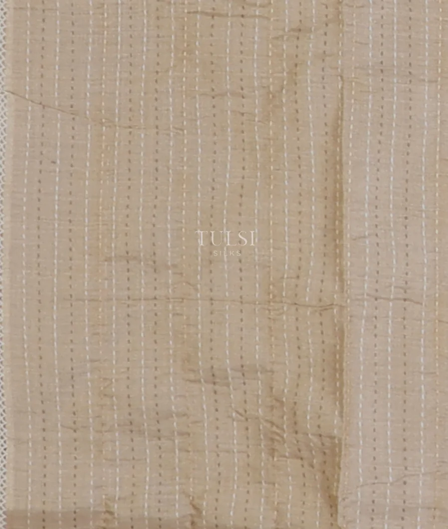 light-beige-tissue-tussar-embroidery-saree-t644852-t644852-c