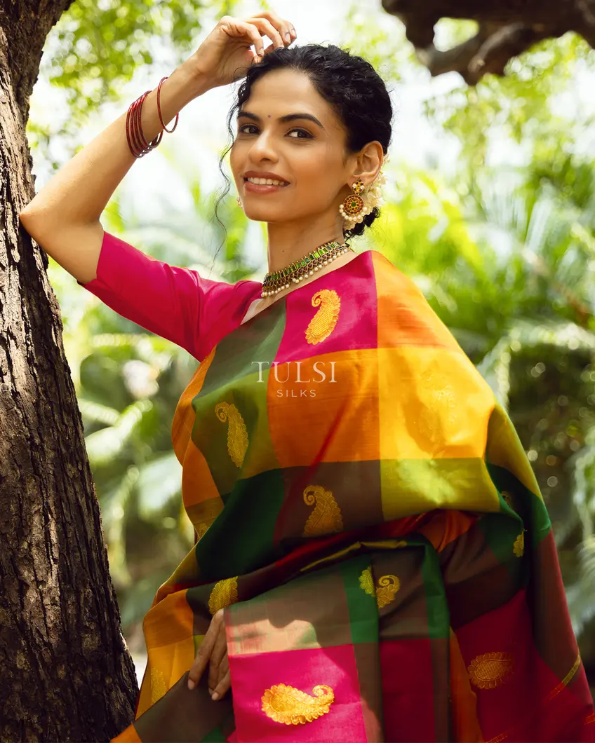 Multicolour Kanjivaram Silk Saree T670939-image