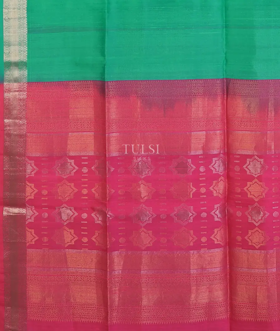 green-woven-raw-silk-saree-t669460-t669460-d